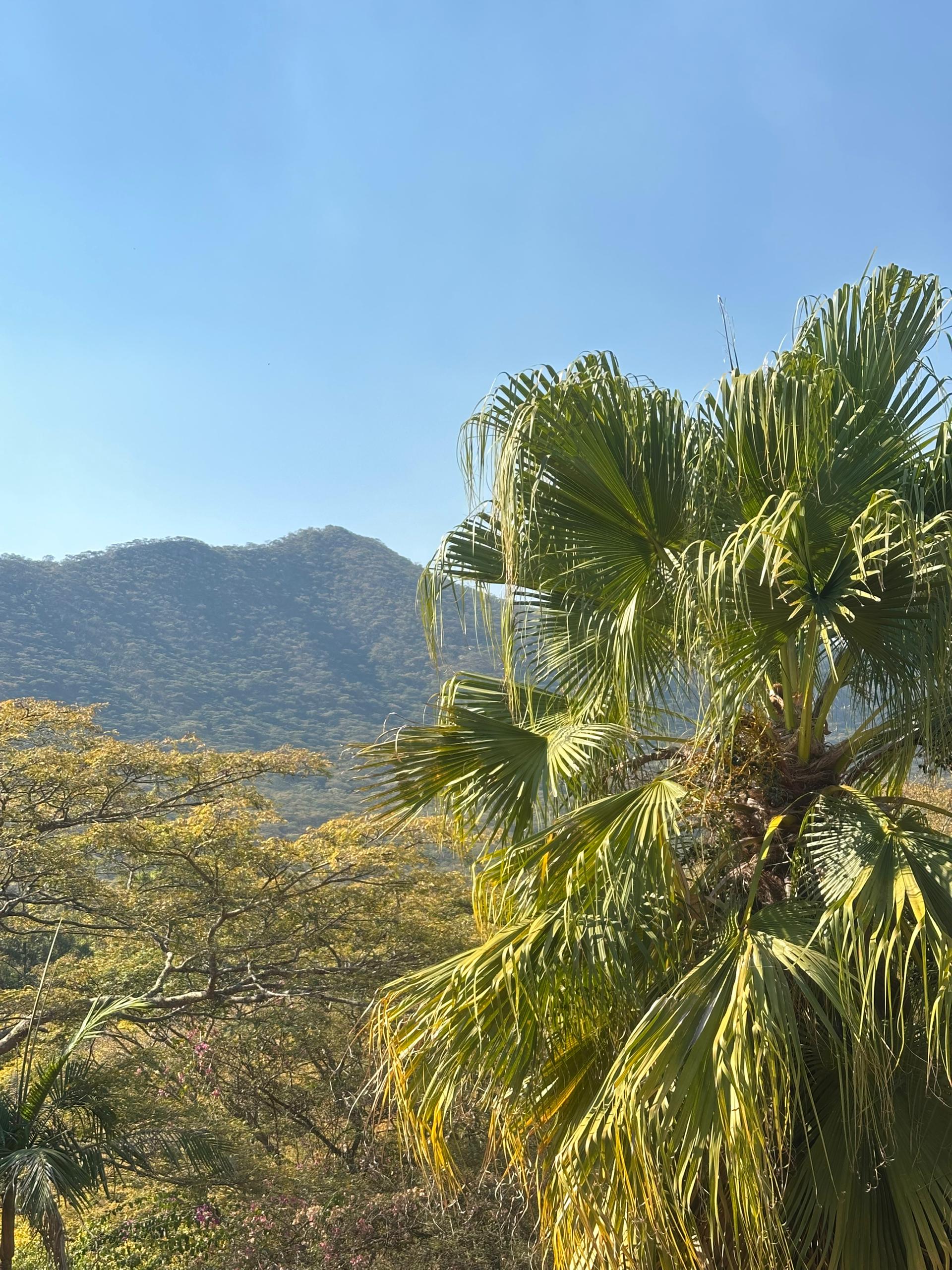 Guest enjoying wine at lodge entrance
